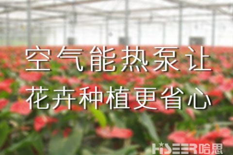 空气能热泵让花卉莳植更省心，优品率可达90%以上